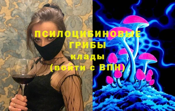 дмт Алзамай