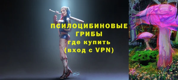 амф Алексин