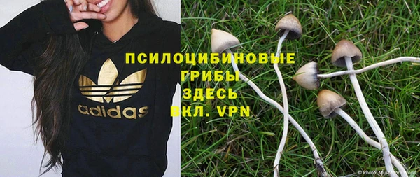 дмт Алзамай