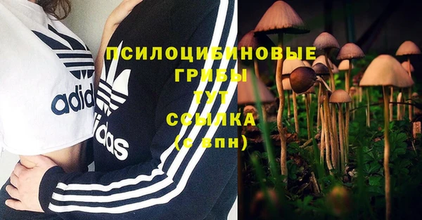 амф Алексин