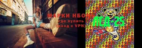 дмт Алзамай