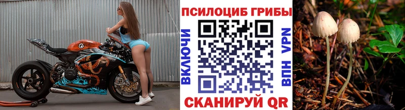 купить закладку  Обнинск  Псилоцибиновые грибы ЛСД 