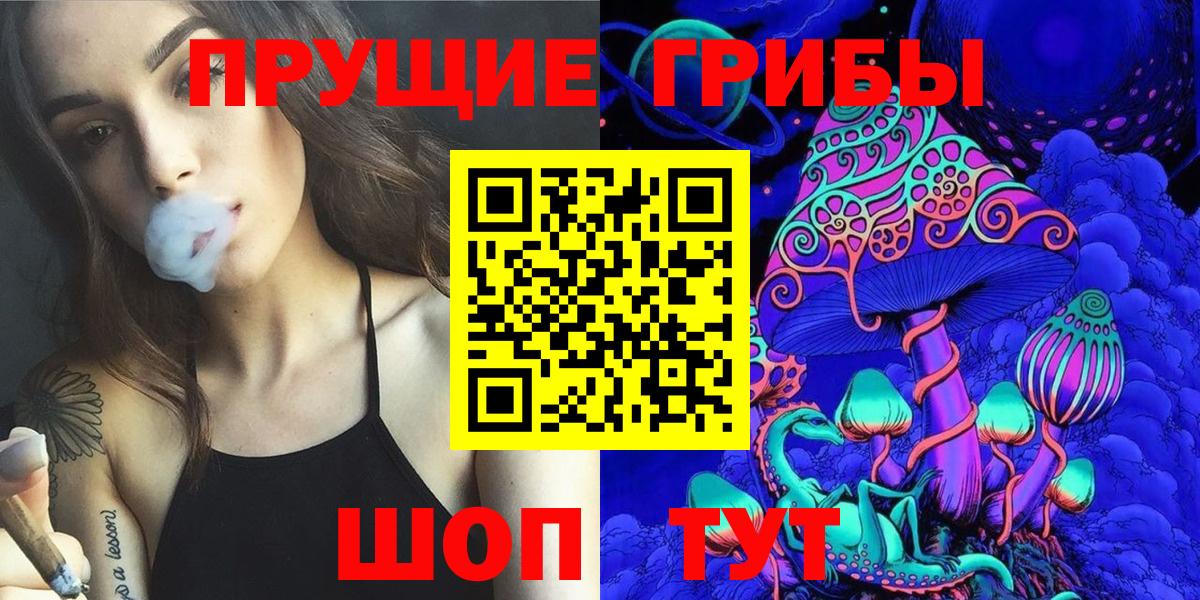 Псилоцибиновые грибы Psilocybine cubensis Обнинск