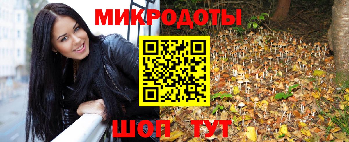 Обнинск  Псилоцибиновые грибы мицелий  Вход с VPN  наркотики  Галлюциногенные грибы мицелий 